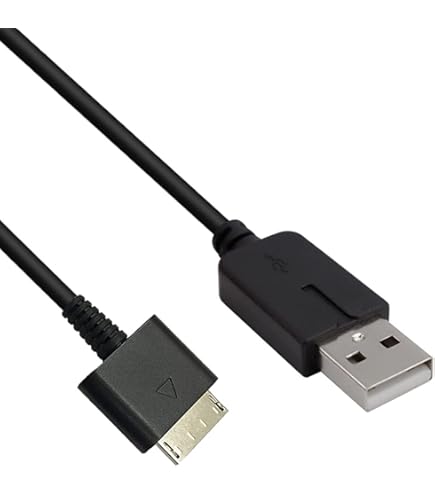 Amazon.com: Sqrmekoko PSP Go Charger Cable, Data and Charging