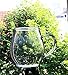 Sun's Tea Ultra Clear Glass Tea Mug | Coffee Mug 16 oz (470 ml) | Borosilicate - Glasses w Big Handle | Simple and Elegant | Microwave Safe | Pure Glass