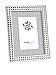 Philip Whitney Metal Silver Spike Picture Frame, 8 x 10 Inch