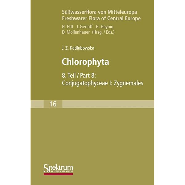 Süßwasserflora von Mitteleuropa, Bd. 19/3: Cyanoprokaryota: 3