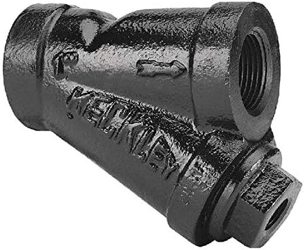 1' Y Strainer, Threaded, 20 Mesh, 4' Length, Cast Iron