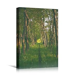 signwin Canvas Wall Art Green Forest Dramatic Forest...
