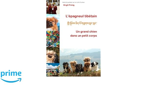 Lépagneul Tibétain French Edition Birgit Primig