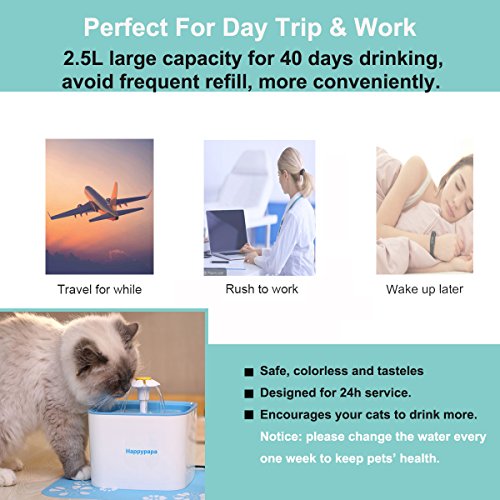 [Newest 2018 Upgraded] Cat Fountain 2.5L Healthy and Hygienic Pet Fountain Ultra Quiet Cat and Dog Flower Fountain Suit for Cats Dogs Birds and Small Animals (Blue) - Thumbnail 6