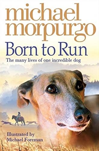 Download Born to Run PDF