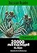 Russian reader: Elementary. 20000 leagues under the sea by J. Verne, annotated (Russian Edition)