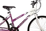 Titan Wildcat Ladies Mountain Bike 