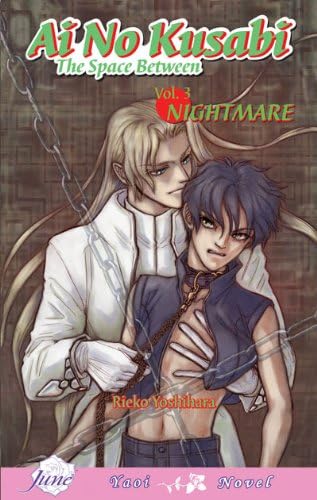 Ai No Kusabi The Space Between Volume 3: Nightmare (Yaoi Novel) Paperback – 22 July 2008