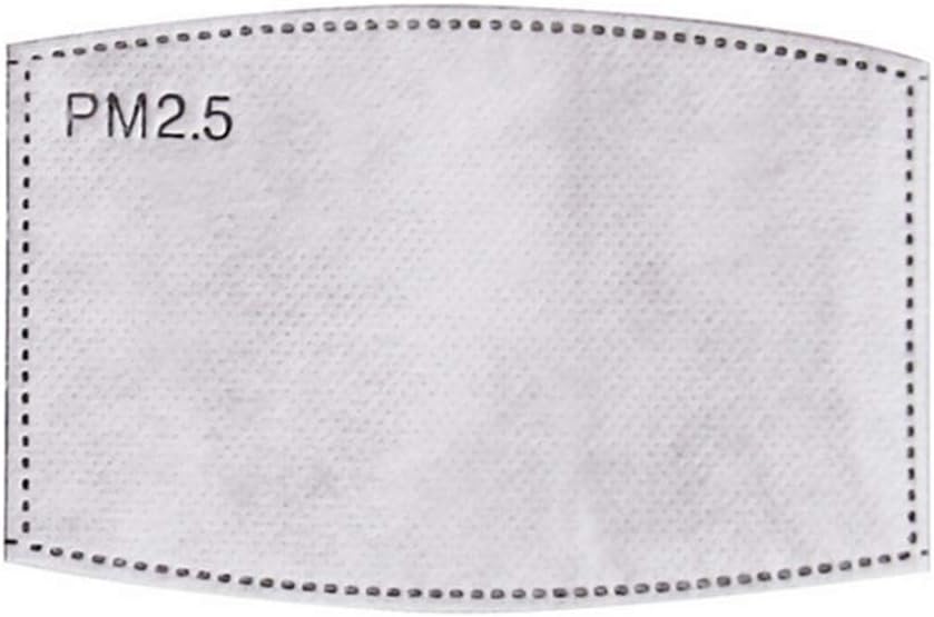 WAINEO 10 Pcs Anti PM2.5 N95 Activated Carbon Mask Filter Face Masks,5 Layers Protective Filter Breathing Mouth Mask Filter for Outdoor Activities