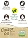 Castor Oil 64 oz Cold Pressed | 100% Pure Hexane Free | for Hair Growth, Skin & Eyelashes | Vegetarian, Non-GMO | By Horbaachthumb 3