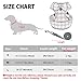 Rypet Small Dog Harness and Leash Set - No Pull Pet Harness with Soft Mesh Nylon Vest for Small Dogs and Cats Red S