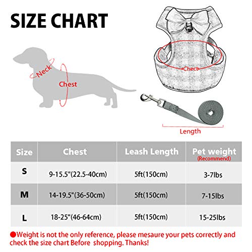 image for RYPET Small Dog Harness and Leash Set - No Pull Pet Harness with Soft 