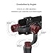 Zhiyun Smooth-Q 3-Axis Handheld Gimbal Stabilizer for Smartphone, i.e. iPhone 7 Plus 6 Plus, Samsung S7 S6, Featuring APP Control, Vertical Shooting, Face Tracking