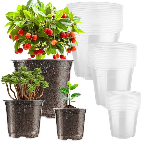 auriikoop 36 Pieces Plastic Pots, 13/15/18 cm Transparent Orchid Pots with Drainage Holes for Indoor and Outdoor Plant Cuttings
