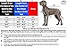 Derby Originals Horse Tough 600D Ripstop Waterproof Winter Dog Coat 150g Medium Weight