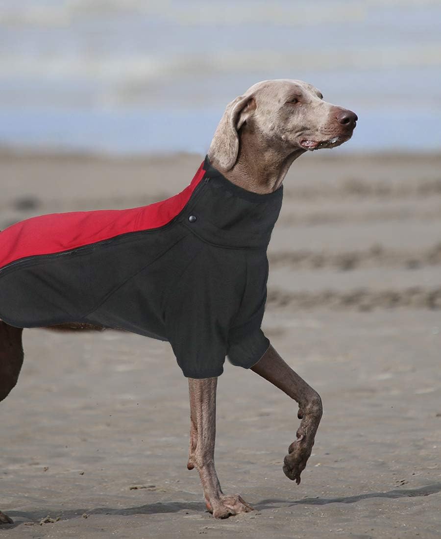 Amazon Asmpet 犬服 中型犬 秋冬 防風 犬のコート 愛犬のお散歩 防寒 暖かい 犬の服 防水 着脱簡単 夜間反射 柴犬服 レッド 3xl Asmpet コート ジャケット 通販