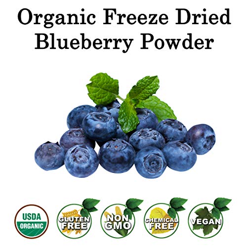 3 Organic+Blueberry+Powder+Superfood+Unsweetened