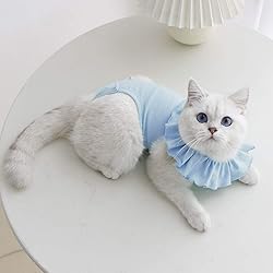 Cat Recovery Suit for Abdominal Wounds and Skin
