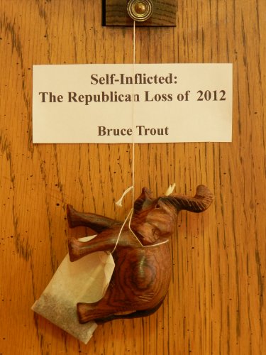Self-Inflicted: The Republican Loss of 2012