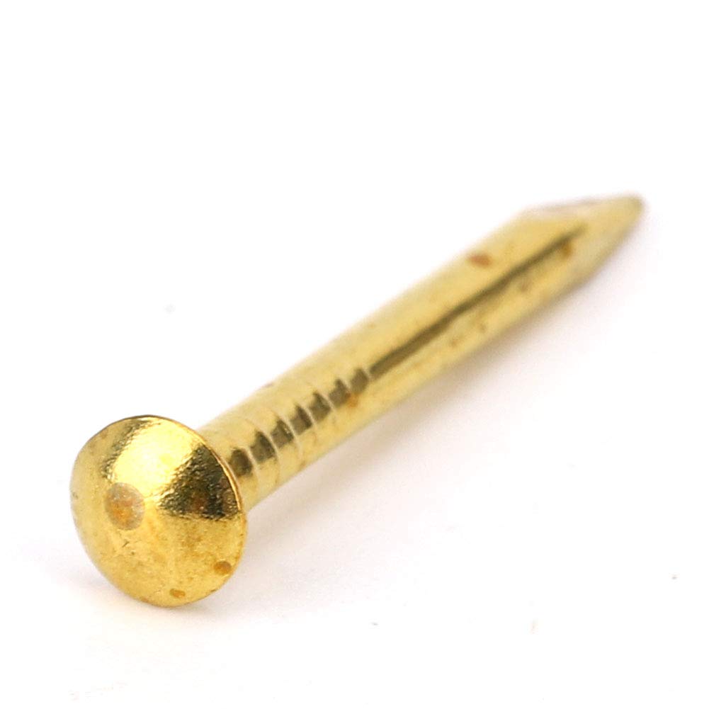 100Pcs Multi-Sizes Brass Nails Brass Tacks Nails Hardware Large Copper Nails for Wooden DIY Decorative Pictures Boxes Household Accessories(22MM)