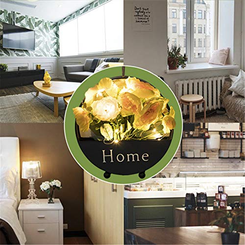 Black Wall-Mounted Planter, 8 Inch Round Iron Succulent Planter Pots and Mini Flower Plant Containers. Flower Pots for Desk, Home Decoration