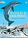 Whales and Dolphins Coloring Book (Dover Nature Coloring Book) primary