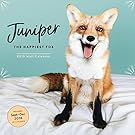 Juniper: The Happiest Fox 2019 Wall Calendar