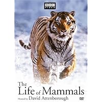 The Life of Mammals [DVD]