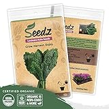 Organic Kale Seeds (APPR. 550) Lacinato Kale - Heirloom Vegetable Seeds - Certified Organic, Non-GMO, Non Hybrid - USA