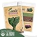 Organic Kale Seeds (APPR. 550) Lacinato Kale - Heirloom Vegetable Seeds - Certified Organic, Non-GMO, Non Hybrid - USA