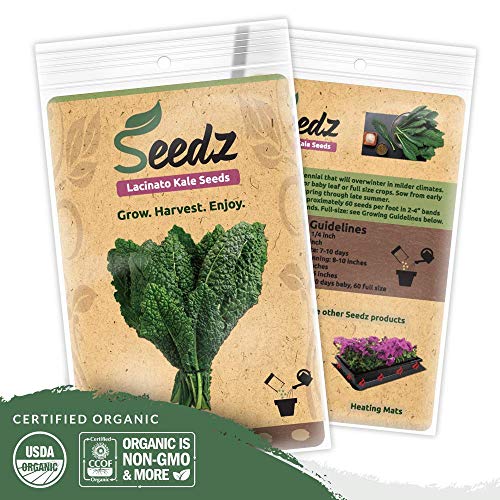 Organic Kale Seeds (APPR. 550) Lacinato Kale - Heirloom Vegetable Seeds - Certified Organic, Non-GMO, Non Hybrid - USA