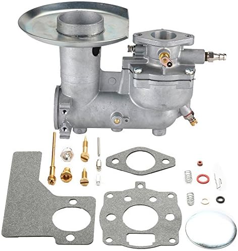 Buckbock 392587 Carburetor with Carb Kit for Briggs &amp; Stratton 391065 391074 391992 394745 170401 170402 170403 170407 Lawn Mover Engine