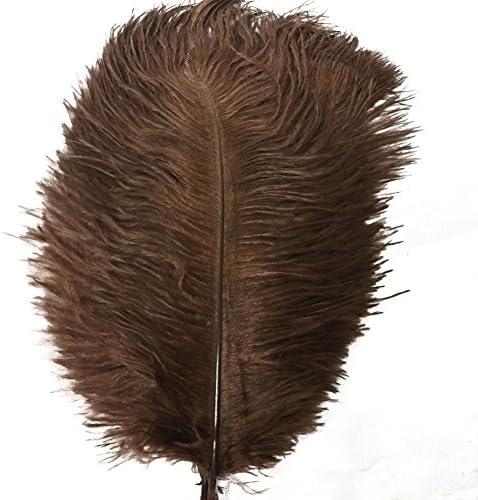 AABABUY Pack of 100,Naturl Ostrich Feathers 26-28inch (65-70cm) Plumes Wedding,Clothing,Party,Table Decoration,DIY (Brown)