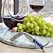 Hicoup Wine Opener - Professional Corkscrews for Wine Bottles w/Foil Cutter and Cap Remover - Manual Wine Key for Servers, Waiters, Bartenders and Home Use - Stainless Steel w/Sapphire Resin Inlay