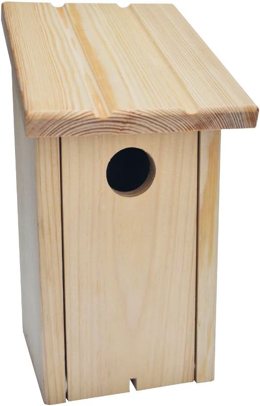 bird house kit