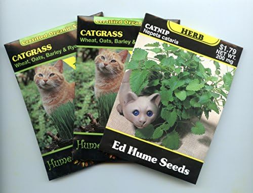 Pampered Cat Combo - Catgrass and Catnip