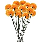 Home Decor<br> Up to 70% off