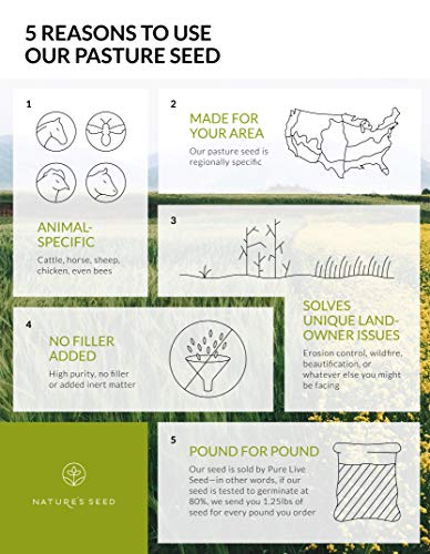 Nature's Seed Mid-West/Mid-Atlantic Poultry Pasture Blend, 500 sq. ft.