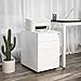SONGMICS Steel File Cabinet 3 Drawer with Lock Mobile Pedestal Under Desk Fully Assembled Except Casters White UOFC60WT