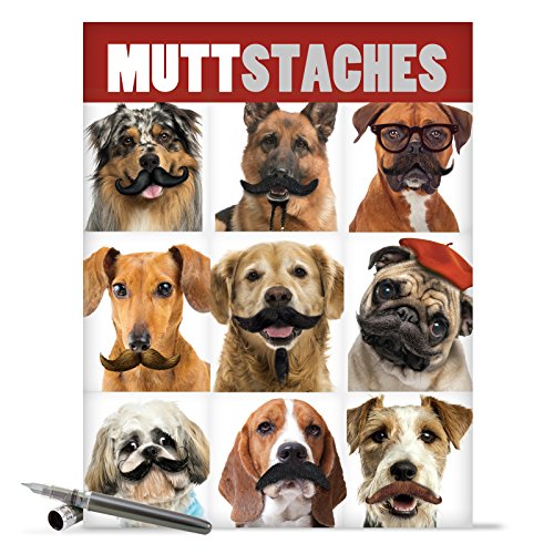 J9716 Jumbo Funny Birthday Card: Muttstaches With Envelope (Extra Large Version: 8.5'' x 11'')