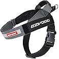 EzyDog Express Dog Harness - Adjustable Dog Harness for Large, Medium, and Small Dogs with Padded Ergonomic Anti-Chafing Design, Grip Handle, & Easy Side Buckle (Gray, M)