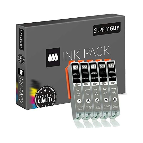Supply Guy 5 Druckerpatronen mit Chip kompatibel mit Canon CLI-551 Grau Passend für Canon Pixma IP8700 IP8750 MG6300 MG6350 MG7100 MG7150 MG7500 MG7550