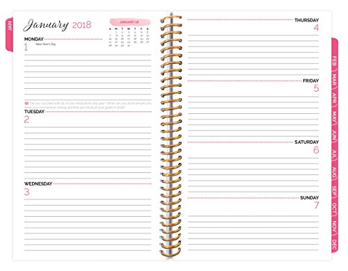 image for bloom daily planners 2018 Calendar Year Daily Planner - Passion/Goal O