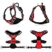 rabbitgoo Dog Harness, No-Pull Pet Harness with 2 Leash Clips, Adjustable Soft Padded Dog Vest, Reflective No-Choke Pet Oxford Vest with Easy Control Handle for Large Dogs, Red, L