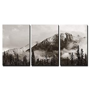Banff National Park Canada - Canvas Art Wall Art - 16"x24"x3 Panels