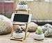 Jusalpha Ceramic Round Succulent Plant Pot, Flower Pots with Drainage Hole for Succulent Plants, Cactus and Herbs Pot with Bamboo Tray for Room Decor