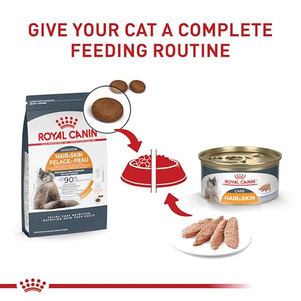 ROYAL CANIN FELINE CARE NUTRITION HAIR & SKIN CARE ADULT DRY CAT FOOD, 6 LB BAG