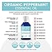 Peppermint Essential Oil by Ancient Nutrition, Certified Organic, 100% Pure and Therapeutic Grade, Great with Oil Diffuser or Moisturizer, Invigorating and Refreshing, 15ml