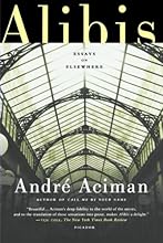 Alibis: Essays on Elsewhere