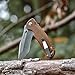 TANGRAM Folding Pocket Knife ACUTO440 Tanto Sharp Blade Liner Lock Brown G10 Handle Flipper Knife,Kim Ning Rumble TG4001A2